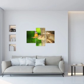 Obraz - Jašter (90x60 cm)