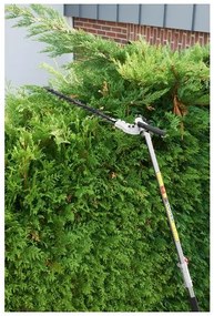 Parkside®  Benzínové kombinované náradie 4 v 1 PBK 4 C4  (100389613)