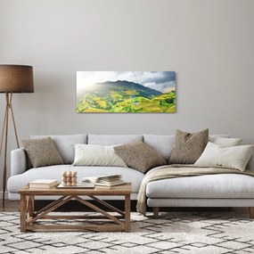 Obraz plantáže (120x50 cm)