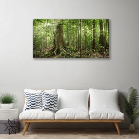 Obraz Canvas Les príroda džungle 125x50 cm