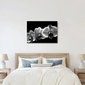 Obraz kvetu orchidey (70x50 cm)