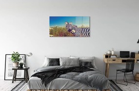 Sklenený obraz zebra kvety 140x70 cm