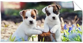 Bavlnená plážová osuška Jack Russell Teriér - 100% bavlna - 70 x 140 cm