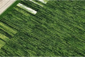 Protišmykový behúň ADAGIO zelený - Výpredaj