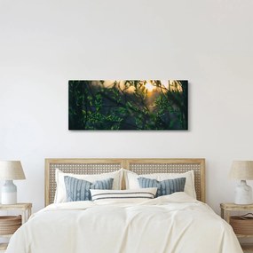 Obraz presvitajúceho slnka cez vetvičky stromov (120x50 cm)