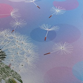 Obraz - Púpava vo vetre (120x50 cm)