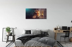 Obraz na akrylátovom skle Tiger woods muž 100x50 cm