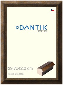 DANTIK rám na obraz 29,7x42 | Forgia Bronzea (Plexi Čiré)