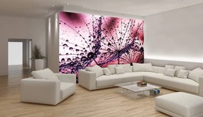 Fototapeta - Púpavy - abstraktné - fialové (152,5x104 cm)