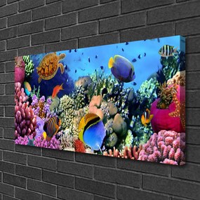 Obraz na plátne Koralový útes príroda 120x60 cm
