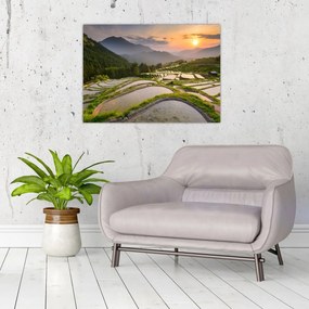 Obraz - Ryžové terasy (70x50 cm)