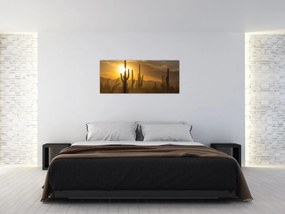 Obraz - Kaktusy Saguaro (120x50 cm)