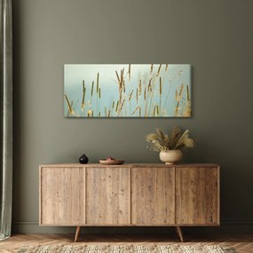Obraz - Lúčny okamih (120x50 cm)