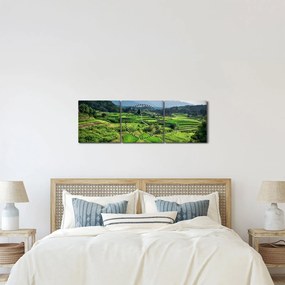 Obraz ryžových polí (s hodinami) (90x30 cm)