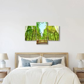 Obraz - Výhľad na les (90x60 cm)