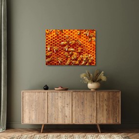 Sklenený obraz - Medový plást (70x50 cm)