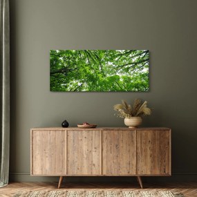 Obraz - Pohľad do korún stromov (120x50 cm)