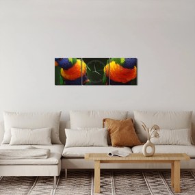 Obraz papagájov (s hodinami) (90x30 cm)