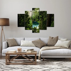 Obraz - Priezor medzi stromami (150x105 cm)