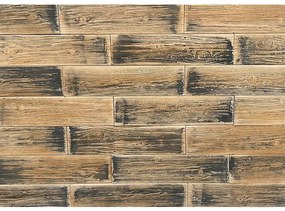 Betónový obkladový kameň Old Wood Bright