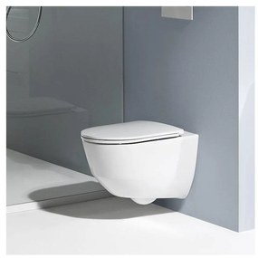 LAUFEN Pro WC sedátko Slim so spomaľovacím sklápacím systémom, odnímateľné, biela, H8989660000001