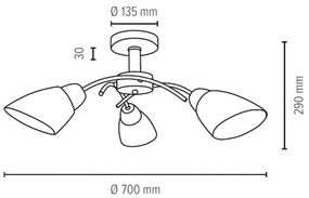 Spot-Light 8141374 - Prisadený luster VILETTA 3xE27/60W/230V
