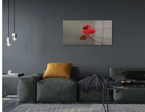 Sklenený obraz Red papagáj na vetve 140x70 cm