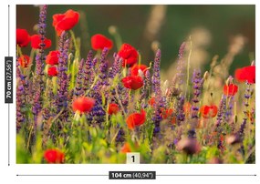 Fototapeta Vliesová Poľné kvety 152x104 cm