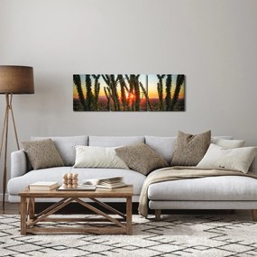 Obraz - Rastliny (s hodinami) (90x30 cm)