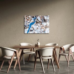 Obraz - Zimný vtáčik (70x50 cm)