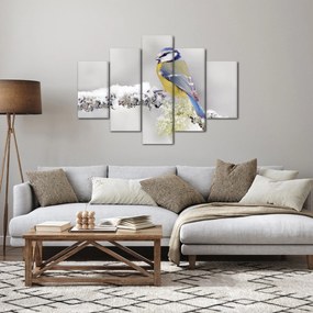 Obraz - Sýkorka modrinka v lese (150x105 cm)