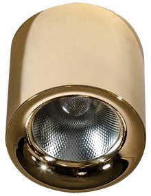 LED bodové svetlo Mane 30W zlaté