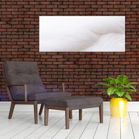 Obraz - Biele pierko (120x50 cm)