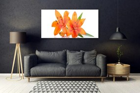 Obraz na akrylátovom skle Oranžové kvety 120x60 cm