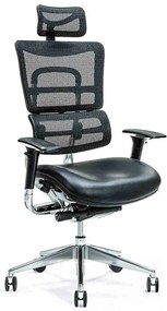 Ergonomické kreslo Ergo 800, mesh, koža, farba čierna