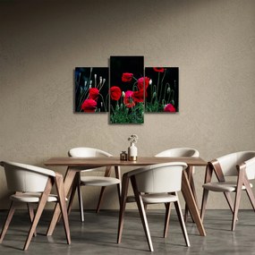 Obraz - Tanec vlčích makov (90x60 cm)