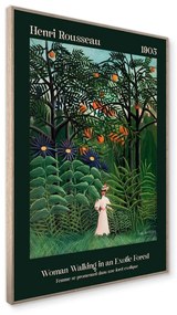 Obraz 50x70 cm Exotic Forest – Styler