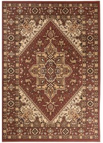Kusový koberec PP Alier hnedý 160x229cm