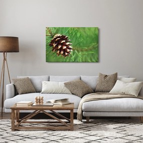 Obraz šišky (90x60 cm)