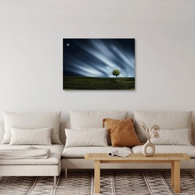 Obraz polárna žiara nad vresoviskom (70x50 cm)