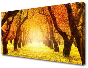 Obraz Canvas Les chodník stromy príroda 100x50 cm