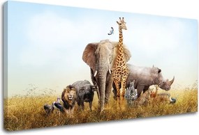 Obraz na stenu ZVIERATÁ_050-11