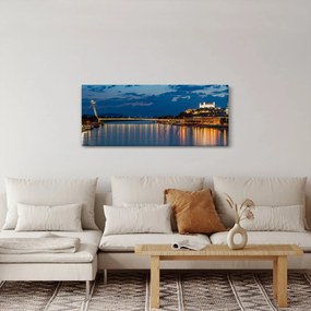 Obraz Bratislavy s hradom (120x50 cm)