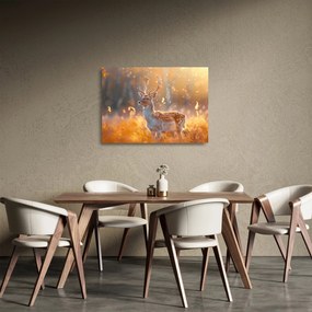 Sklenený obraz - Jeleň v poli (70x50 cm)
