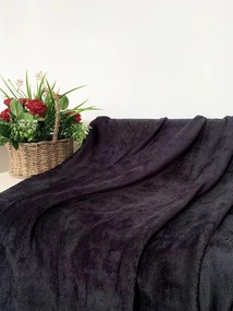 Mikroplyšová deka SOFT, čierna Rozmer: 200 x 220 cm