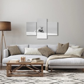 Obraz - Ľadový medveď (90x60 cm)