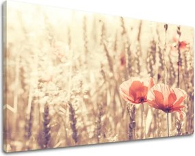 Obraz na stenu KVETY KV074E11 - 40x60 cm