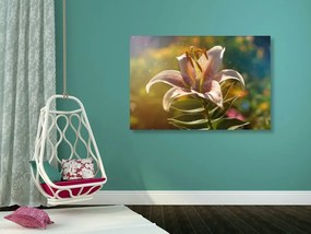 Obraz nádherný kvet s retro nádychom - 90x60