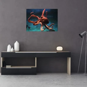 Obraz - Chobotnica (70x50 cm)
