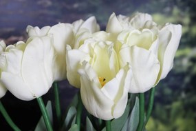 Krémový umelý tulipán s listami 67cm 1ks